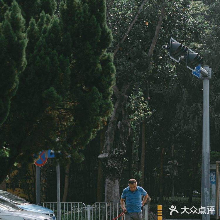 扫街日记📸•深圳蛇口人的青春| 四海公园💚
