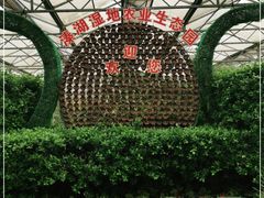 -溱湖国家湿地公园