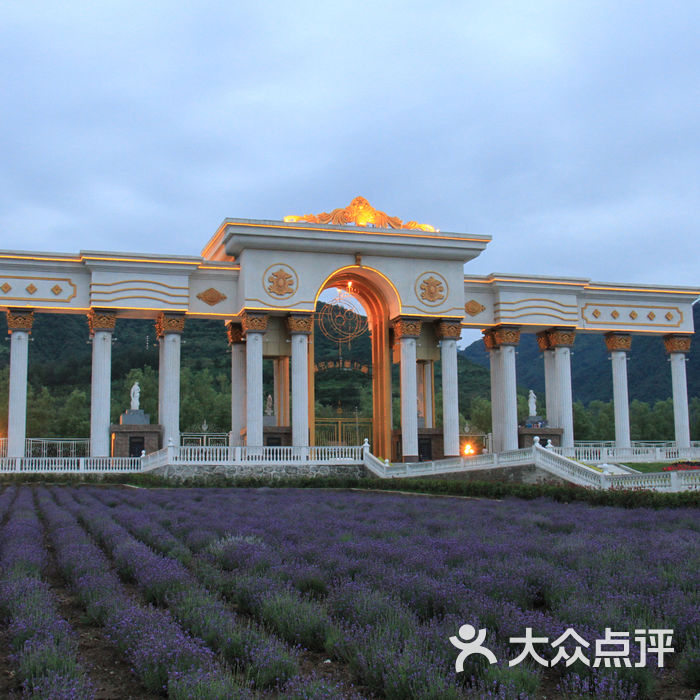 曲江薰衣草庄园照片1 288图片-北京其他景点-大众点评网
