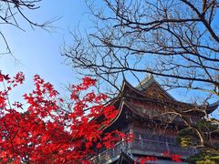 -龙华寺