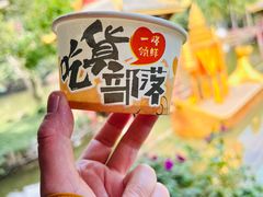 -西双版纳原始森林公园