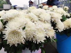 -侵华日军南京大屠杀遇难同胞纪念馆