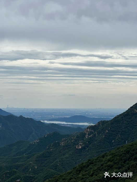大岭沟猕猴桃谷风景区图片