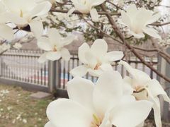 -南京工程学院(江宁校区)