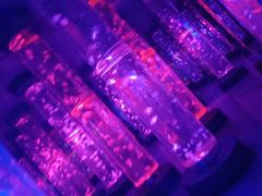 -梦幻海洋王国(吾悦广场张家港店)