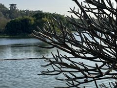 -广东花都湖国家湿地公园