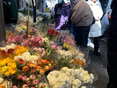 -循礼门鲜花花市(武汉循礼门店)