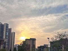 -福田红树林生态公园
