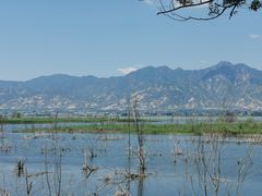 -野鸭湖国家湿地公园