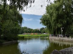 -莲花池公园