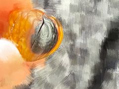 -方林富炒货店(西溪路78号本人店)