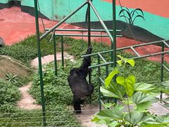 -乐和乐都主题乐园