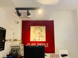 -净漪造型 PURE RIPPLE