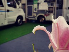 -上海汽车会展中心