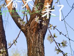 -三里河公园
