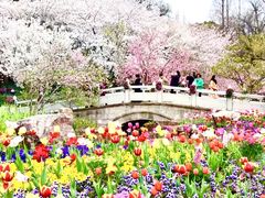 -苏州上方山国家森林公园