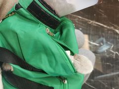 -宠颐生斯嘉宠物医院·急重症·心内科(谷阳北路分院)