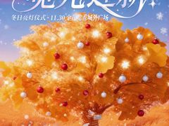 -金茂览秀城