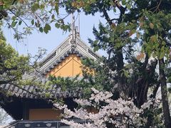 -龙华寺