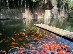 -千岛湖东南湖区