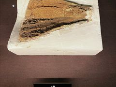 -盘龙城遗址博物院