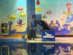 -太平洋海底世界