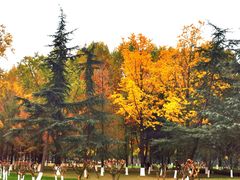 -重庆中央公园(渝北区)