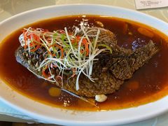 罾蹦鲤鱼-津菜宋记老房子(平山道店)