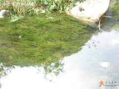 -碓臼峪自然风景区