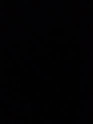 -菲拉派瑞连锁沙龙