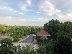 -上海东方佘山翰悦阁酒店·Vie全日制餐厅