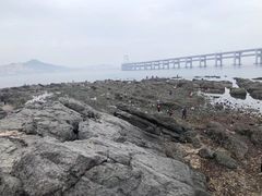 -黑石礁公园