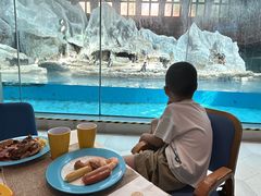 -帝企鹅自助餐厅•儿童岛•真企鹅(长隆企鹅酒店)