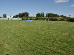 -亲兄弟真人CS团建拓展基地