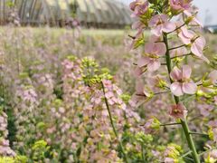 -中国天府农业博览园