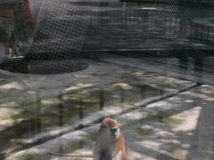 -荆州中山公园动物园