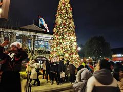 -WOLFGANG PUCK KITCHEN & BAR(迪士尼小镇店)