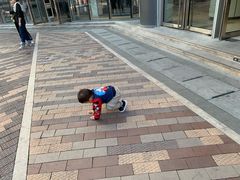 -青岛嘉年华主题乐园