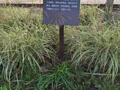 -汉长安城未央宫国家考古遗址公园