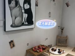 -鼎级派宠物(中南店)