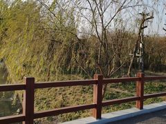 -广富林郊野公园