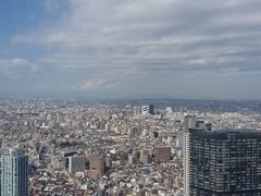 -东京都厅舍