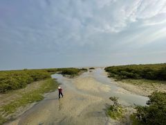 -北海金海湾红树林生态旅游区