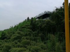 -川西竹海景区