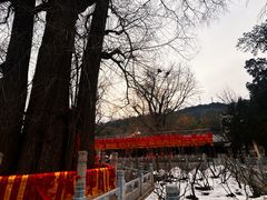 -潭柘寺景区