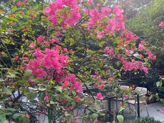 -一粥(华侨城创意文化园店)