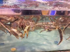 -青石桥市场北1-27号