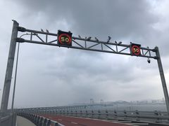 -星海湾跨海大桥