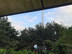 -向日葵咖啡