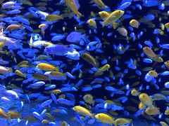 -成都浩海立方海洋公园